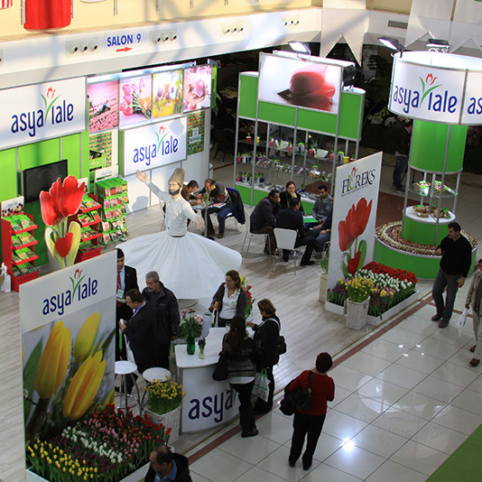 24-27 Kasım tarihleri arasında Flower Show dayız